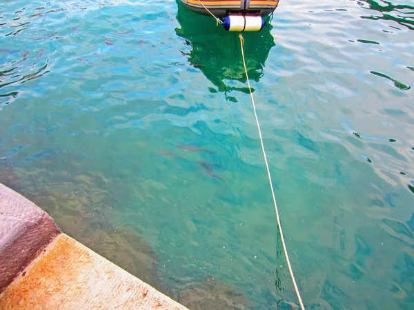 Boat Harbor Portofino — Fotografia de Stock