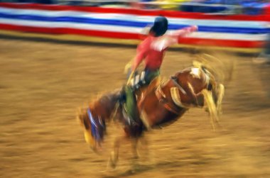 Phoenix, Arizona 'da rodeo