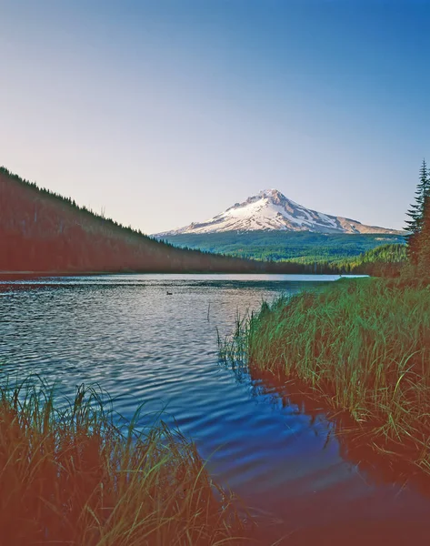 Monte Hood Lago Trillium Oregon — Foto de Stock