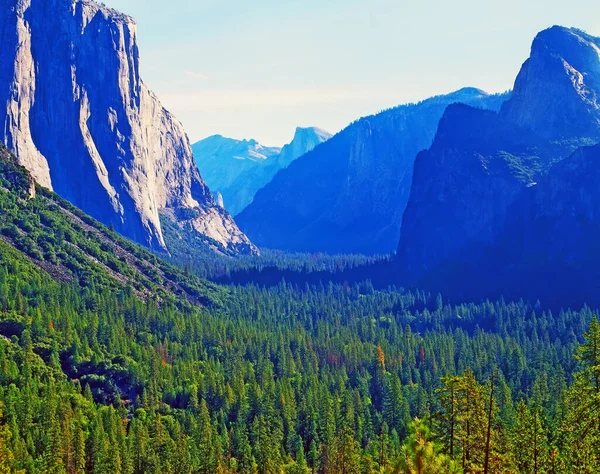 Vista Vale Yosemite Com Capitan Half Dome Califórnia — Fotografia de Stock