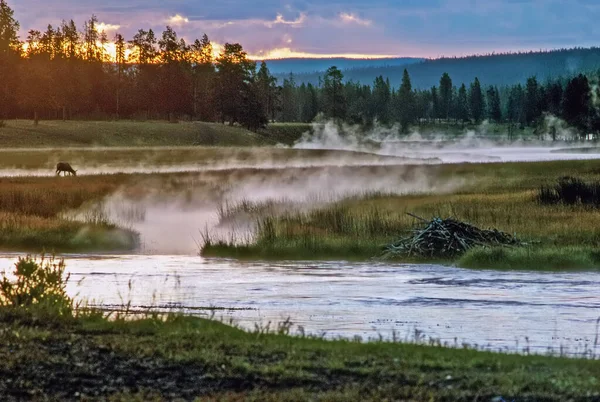 Dawn Madison River Yellowstone National Park Wyoming — Stock fotografie