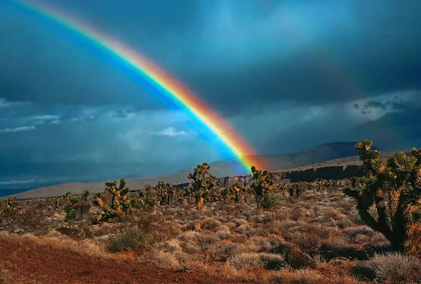 Arco Íris Deserto Nevada — Fotografia de Stock