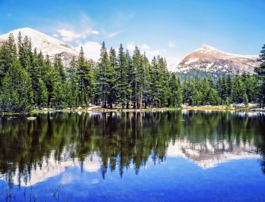 Mt.Gibbs ve Mt.Dana, Yosemite Milli Parkı, Kaliforniya