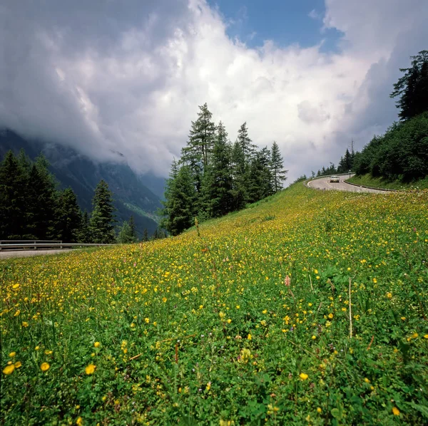 Alpine Road Grossglockner Austria — Stock Fotó