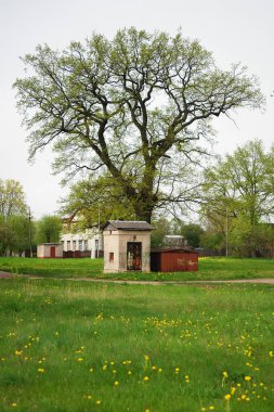 Büyük yeşil bir ağacın altında hafif tuğladan yapılmış küçük eski bir bina.