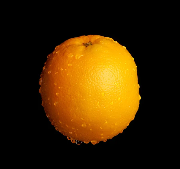 Naranja húmedo — Foto de Stock