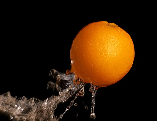 Naranja húmedo —  Fotos de Stock