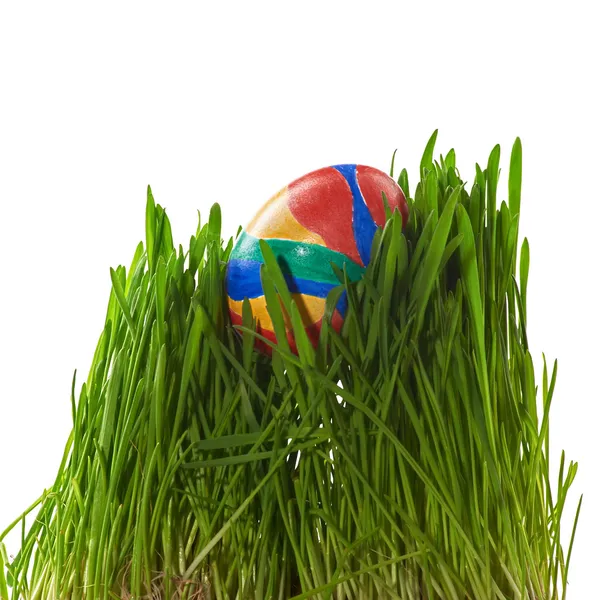 Egg in the grass — Stock Photo, Image