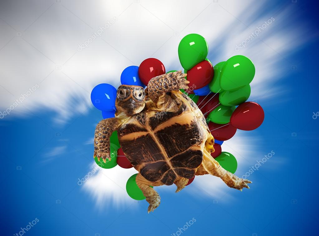 Turtle flying on balloons