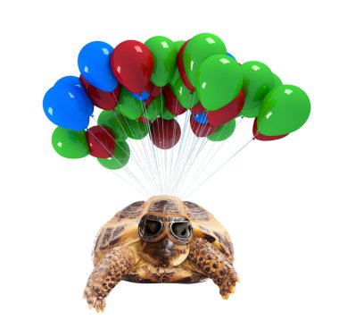 Balon üzerinde uçan kaplumbağa