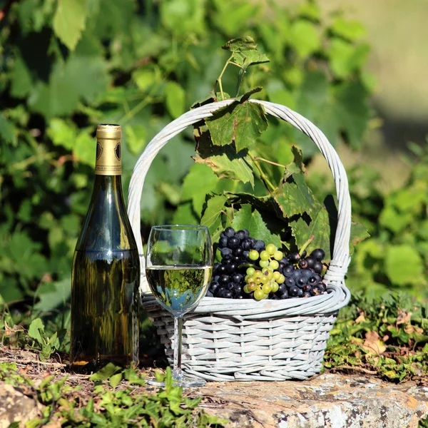 Copa y botella de vino —  Fotos de Stock