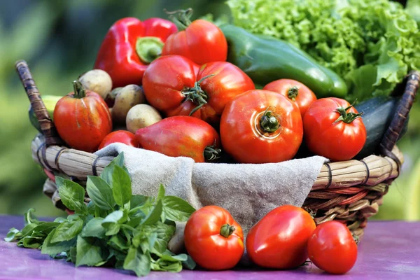 Produtos hortícolas de jardim — Fotografia de Stock