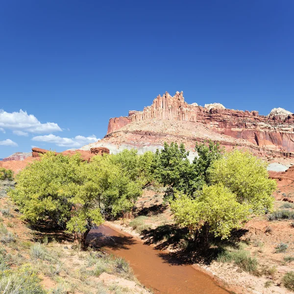 The castle, capitol reef — Stock Photo, Image