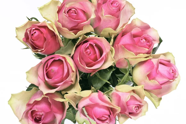 Bouquet of pink roses — Stock Photo, Image