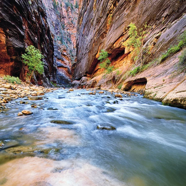 Virgin River — Stock Photo, Image