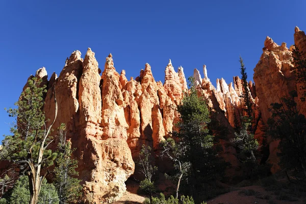 Bryce Canyon paisaje — Foto de Stock