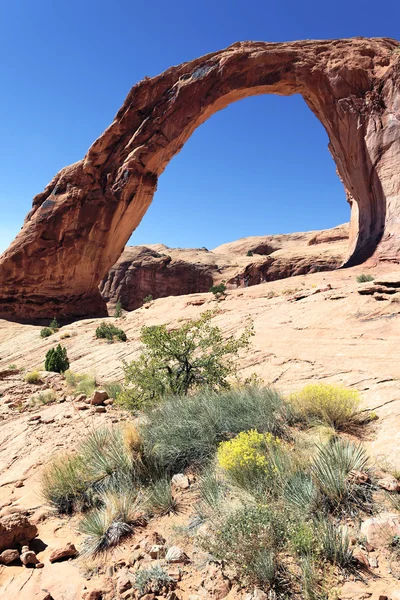 Ünlü corona arch — Stok fotoğraf