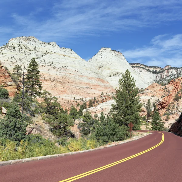 Zion road — Stock Photo, Image