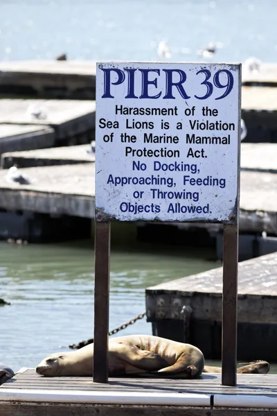 Pier 39 — Zdjęcie stockowe