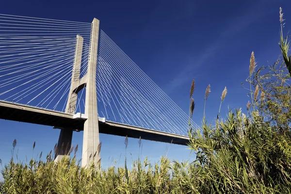 De beroemde vasco da gama brug — Stockfoto