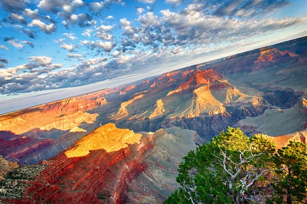 Lélegzetelállító Grand Canyon — Stock Fotó