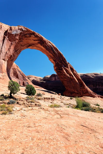 Vertikal syn på corona arch — Stockfoto