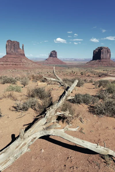 Vertikální pohled na monument valley — Stock fotografie