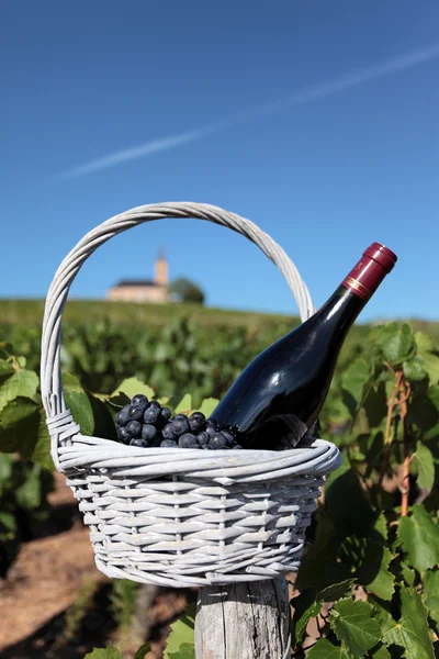 Französischer Wein — Stockfoto