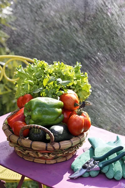 Zelenina a vodním paprskem — Stock fotografie