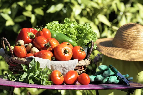 Frisches Gemüse und Gartenschere — Stockfoto