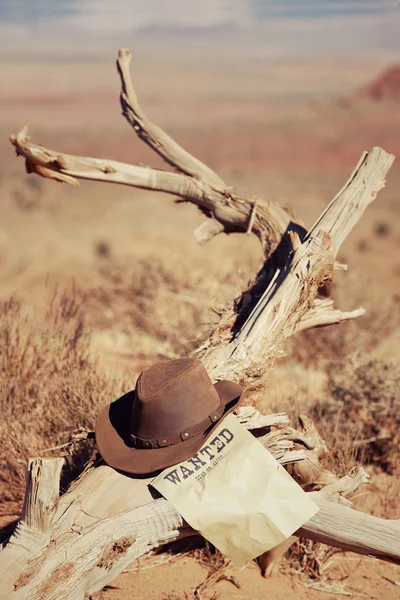 Sombrero sobre madera muerta —  Fotos de Stock