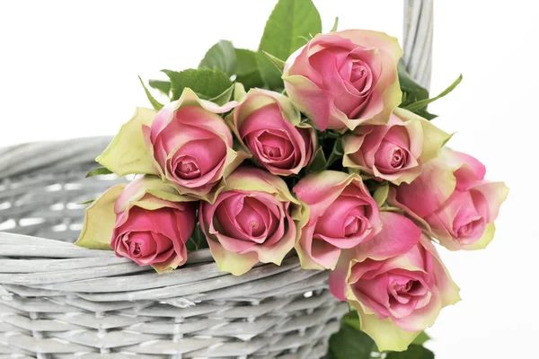 Roses in a Basket — Stock Photo, Image