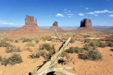 monument Valley ölü odun