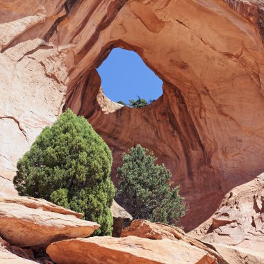 papyon arch