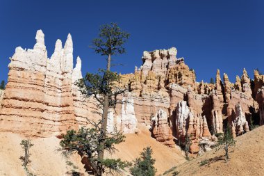 navajo Trail bryce canyon içinde görünüm