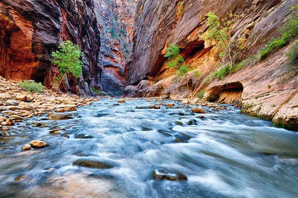 View of the Virgin River — Stock Photo, Image