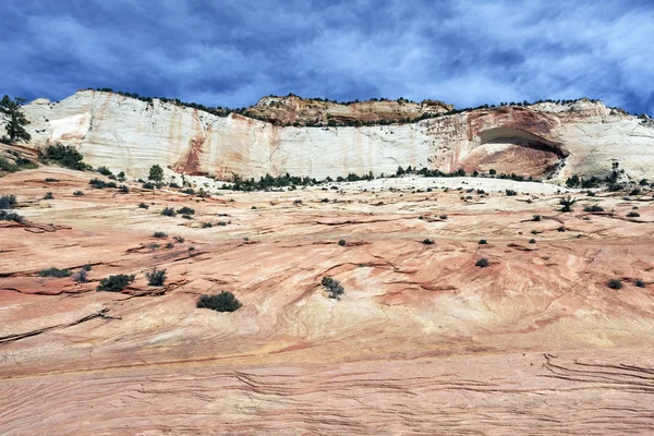 Zion canyon güzel yamaçlarında — Stok fotoğraf