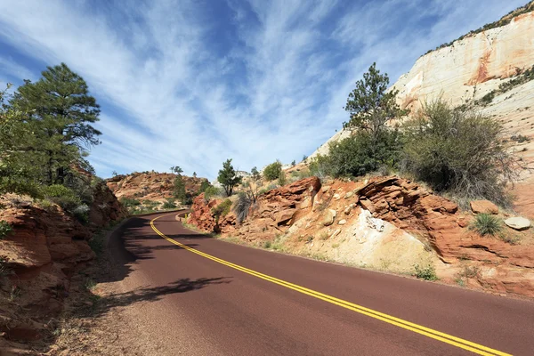 Weg in nationaal park zion — Stockfoto