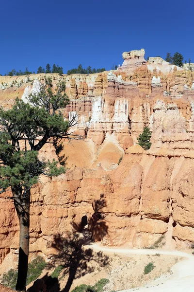 Vertikale Ansicht des Navajo-Weges in der Schlucht von Bryce — Stockfoto