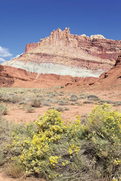 Kasteel in capitol reef national park — Stockfoto