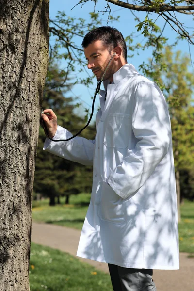 À l'écoute du cœur des arbres — Photo