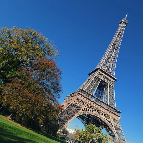 Eiffel Tower and trees — Stock Photo, Image