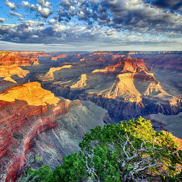 Luce del mattino al Grand Canyon — Foto Stock