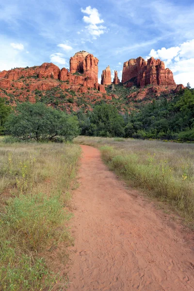 Track to Cathedral Rock — Stock Photo, Image