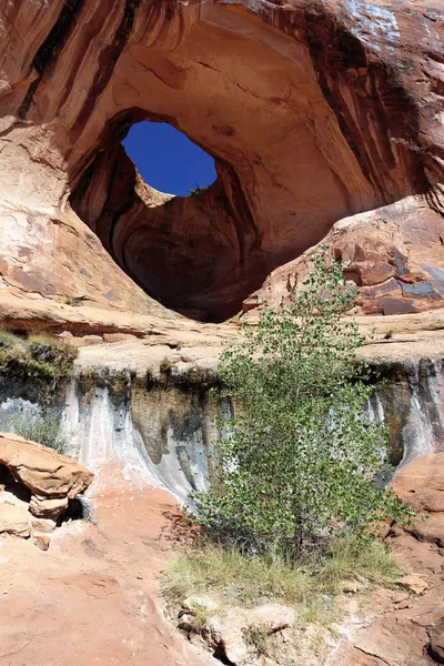 Vista verticale Bowtie Arch — Foto Stock