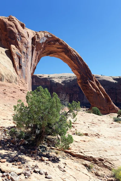 The famous Corona Arch — Stock Photo, Image