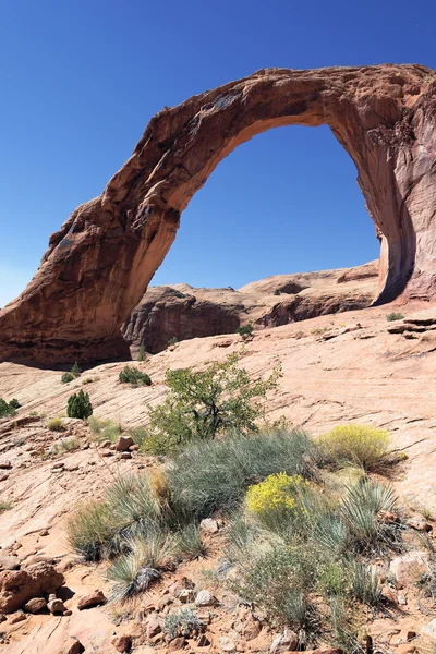 Vertikal syn på corona arch — Stockfoto