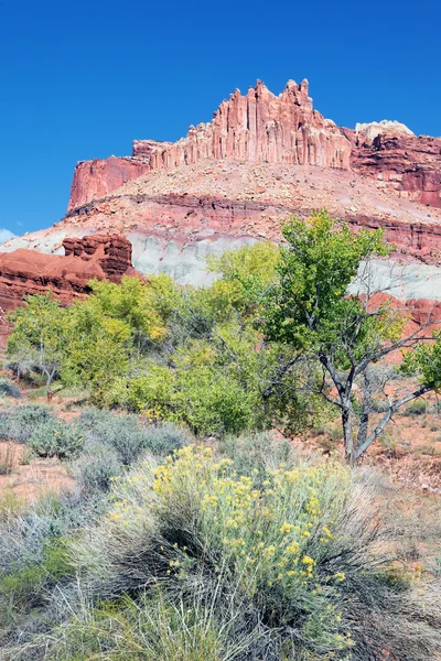 Verticale weergave van het kasteel in capitol reef — Stockfoto