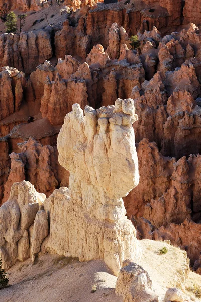 View of famous Bryce Canyon — Stock Photo, Image