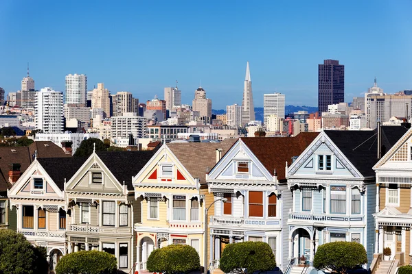 Painted ladies — Stock Photo, Image